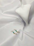 Enlace Natural (Pantallas)